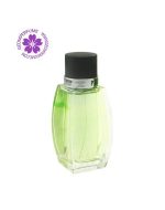 عطر ادکلن آزارو پیور وتیور | Azzaro Pure Vetiver