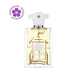 عطر ادکلن آمواج بیچ هات مردانه