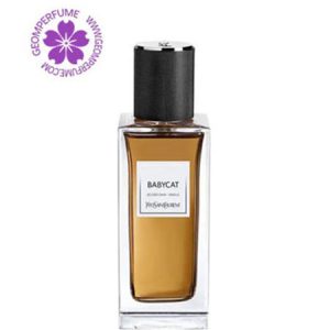 عطر ادکلن ایو سن لورن بیبی کت