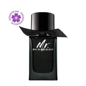 عطر ادکلن باربری مستر باربری ادو پرفیوم