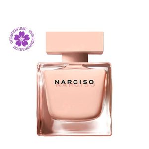 عطر ادکلن نارسیس رودریگز نارسیس پودری