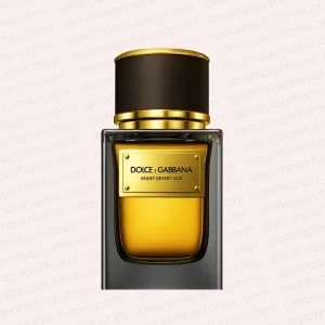 عطر ادکلن دی اند جی دلچه گابانا ولوت دیزرت عود
