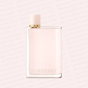 خرید و قیمت عطر ادکلن باربری هر ادوپرفیوم زنانه | Burberry Her Eau de Parfum