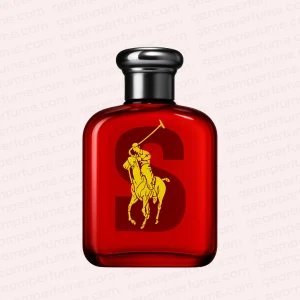 عطر ادکلن رالف لورن بیگ پونی مردانه 2